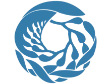 Monterey Bay Aquarium